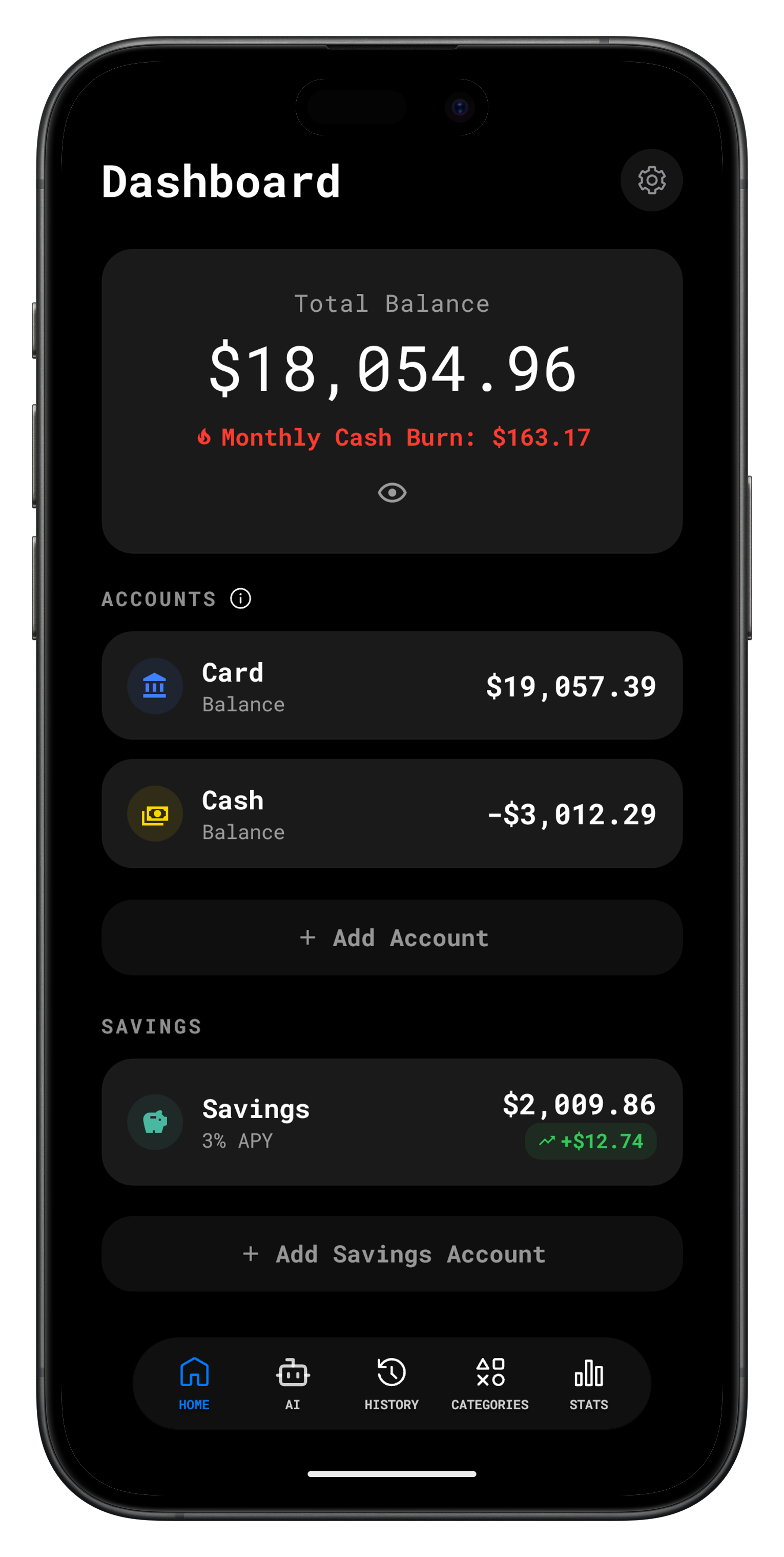 Neon dashboard showing account balances and spending overview